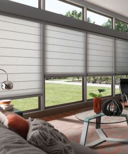 tự động (motorized). roman